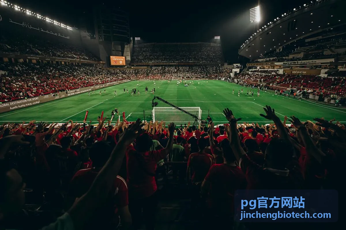pg官方网站团队协作与权限管理界面